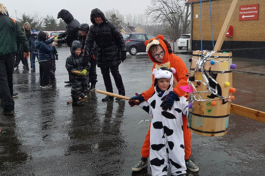 V�d kattekonge i �sterlars