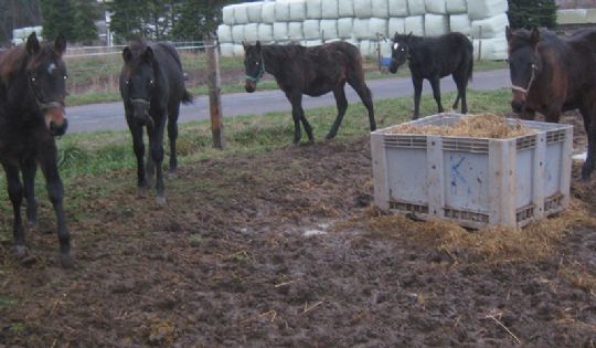 35 travf�l f�dt p� Bornholm