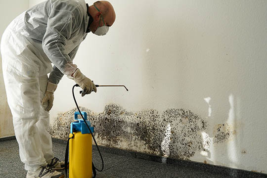 Har I fugt i k�lderen?