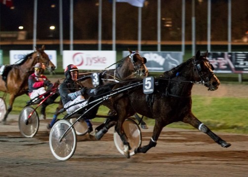 Endnu en travhest til Stald Bornholm.nu