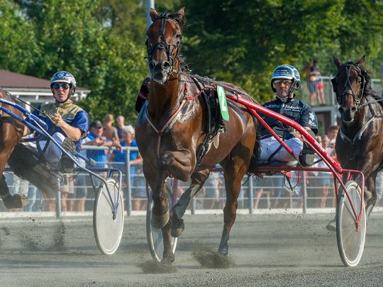 Elitetraver langt fremme i tr�ningen