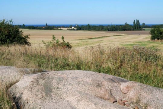 Ark�ologer vil udforske Sorte Muld