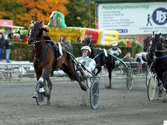 Topl�b af Playboy Face i Sverige