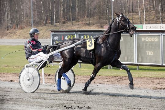 Hidtil ingen �ndring til travbanens s�sonpremiere