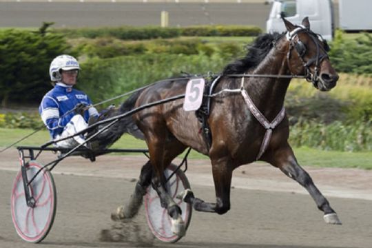 To kostbare heste p� travbanen l�rdag