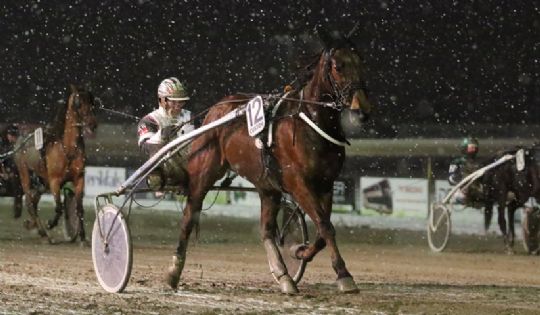 Bornholmsk opdr�t i DM for travtr�nere