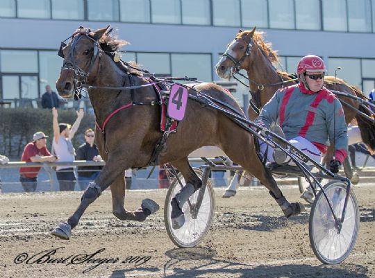 Bornholmsk opdr�t choksejrede i hovedstaden