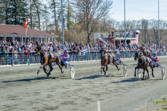 Jetset Onion vandt stort mindel�b