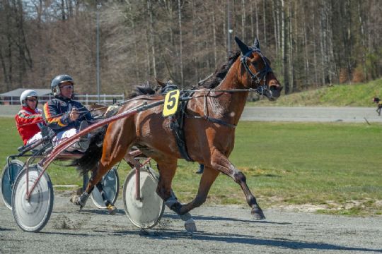 Stortr�ner gl�der sig over Cerossos fremgang