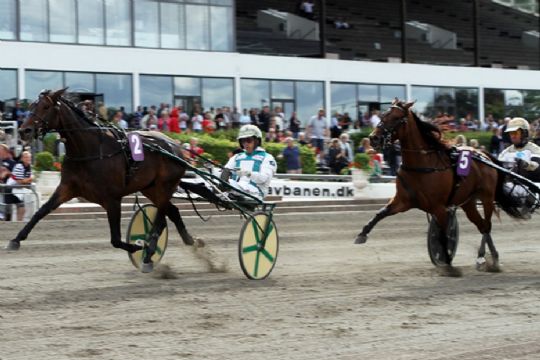 Derby-hoppe flytter til Bornholm