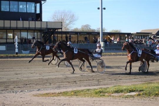 To travsejre i Nyk�bing Falster