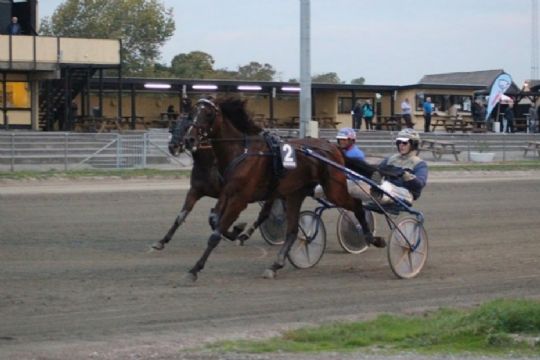 Bornholmsk travsejr er banerekord