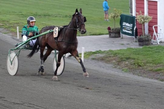 Travhest forlader Bornholm