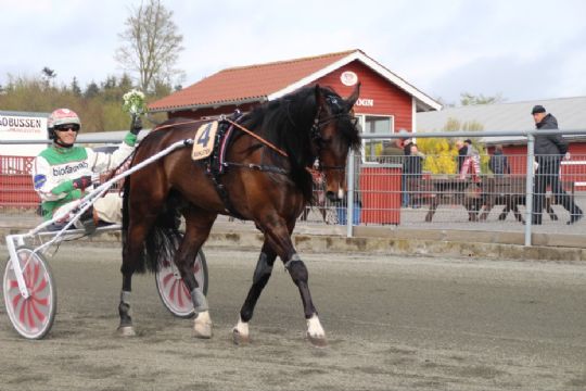 Solon tilbage p� vinderpladsen