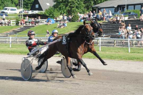 Ny travhest til Bornholm p� fredag