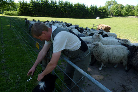 F�rehyrde starter anpartsselskab