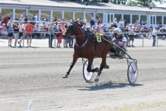 Sp�ndende mandag for travsporten