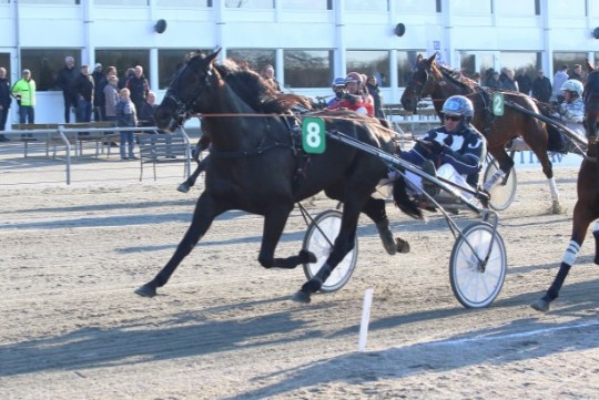 Brokaften for bornholmsk opdr�t i Nordvestjylland