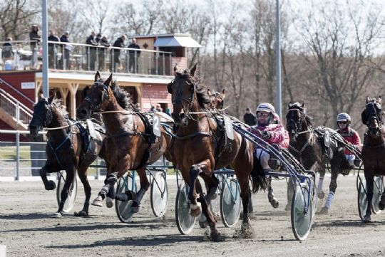 St�rkt felt i travbanens �bningsl�b