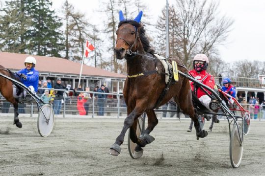 Nyt hovedt�j p� Gommans ligahest