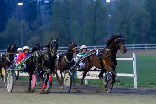 H�ber p� revanche efter diskvalifikation i aftes