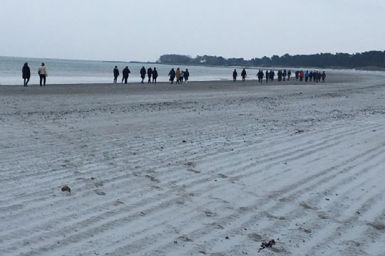 62 gik langt i god sags tjeneste