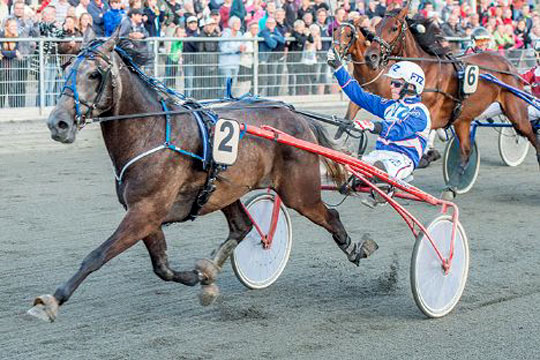 Bornholmer p� Wild Card til DM i trav