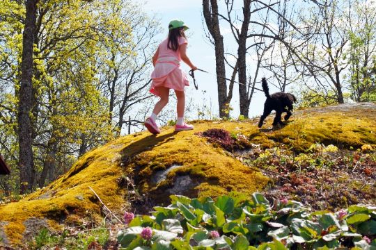 Hold pinseferie i Danmark