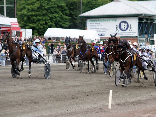 Hesteejere i lodtr�kning om 13.000 kr.