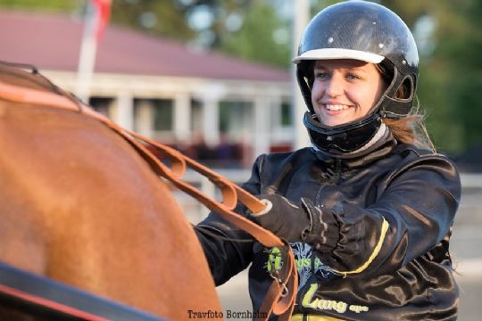 Hesteejer roser ung travkusk