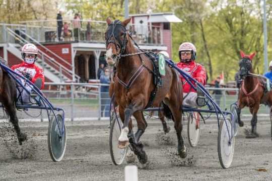 Gommans stald tilbage i gult p� travbanen