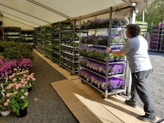 Bornholms st�rste blomstermarked