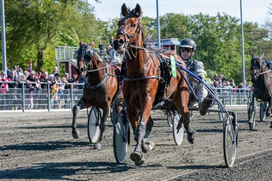 Frank Mikkelsen ny i Top 3 i tr�nerligaen