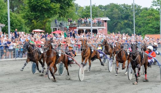 Travl�b igen p� Oddset