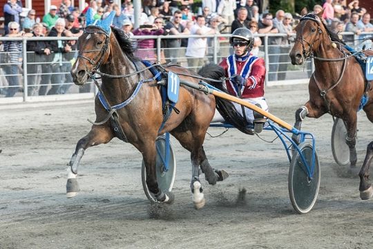 To nye travheste handlet til Bornholm