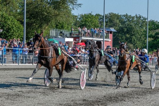 Solon vinder af f�dselsdagsl�b