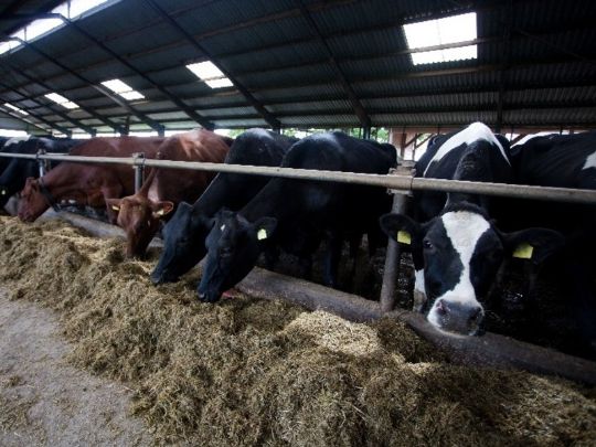 Advarer v�lgere mod klimaets pr�dikanter