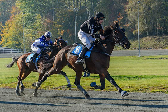 To bornholmere med til DM i mont�