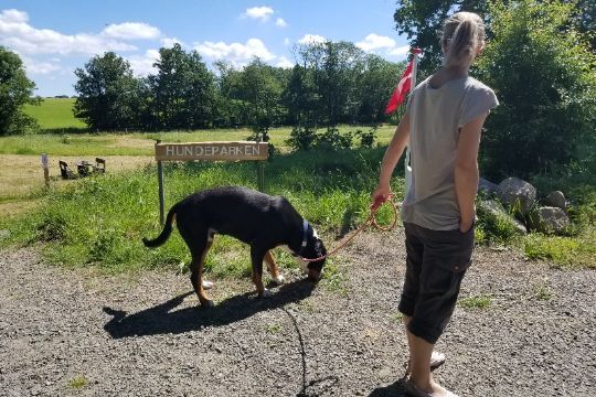 Hundepark i R� indviet med hotdogs