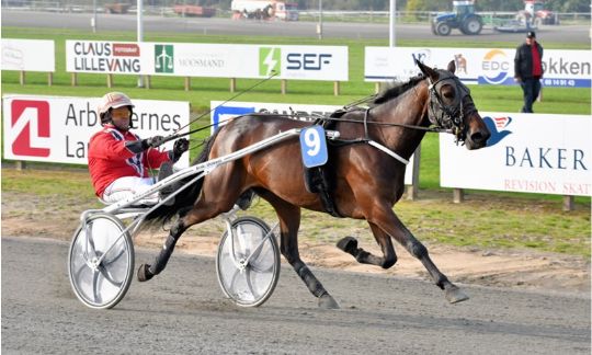 F�rste jumboplads til sejrshest