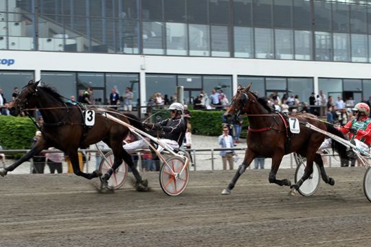 Travhest med rekordtid til Bornholm