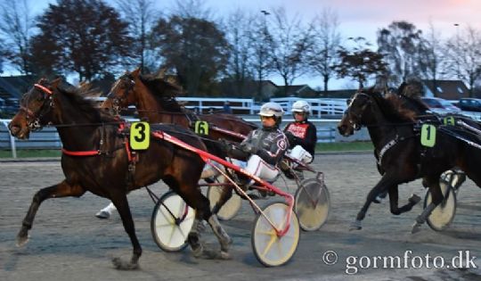 Ny travhest udlejet til Bornholm