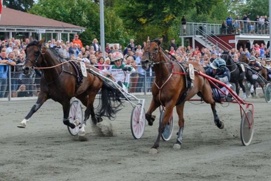 Bornholms bedste heste med p� storl�bsdag