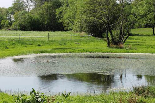 Uenighed om vandl�benes tilstand