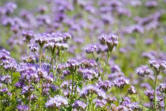 Hold p� kv�lstoffet