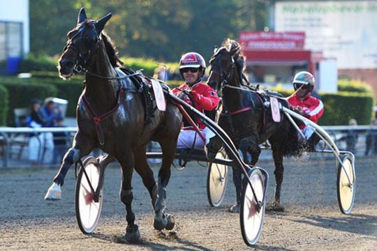 Bornholms bedste travopdr�t klar efter pause