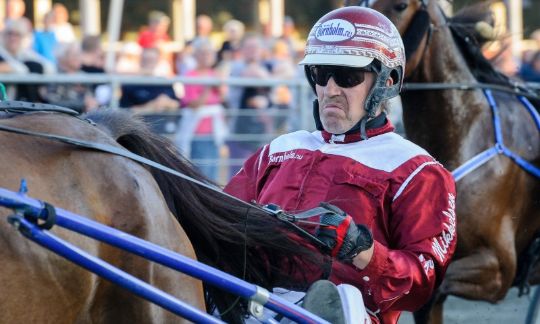 �rhus-hest i tr�ning hos Frank Mikkelsen