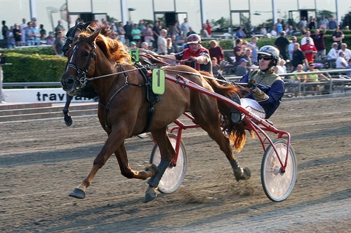 S�n tror ikke han besejrer far i Calles Cup