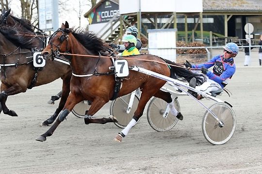 To nye travheste handlet til Bornholm