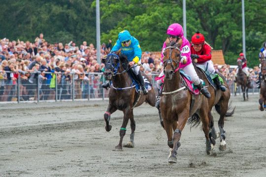 Ny hest galoperede sejren v�k